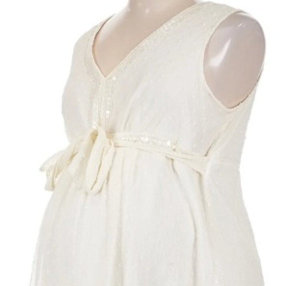 Motherhood Maternity Dress